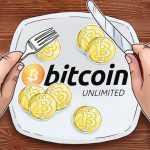 Bitcoin Fork