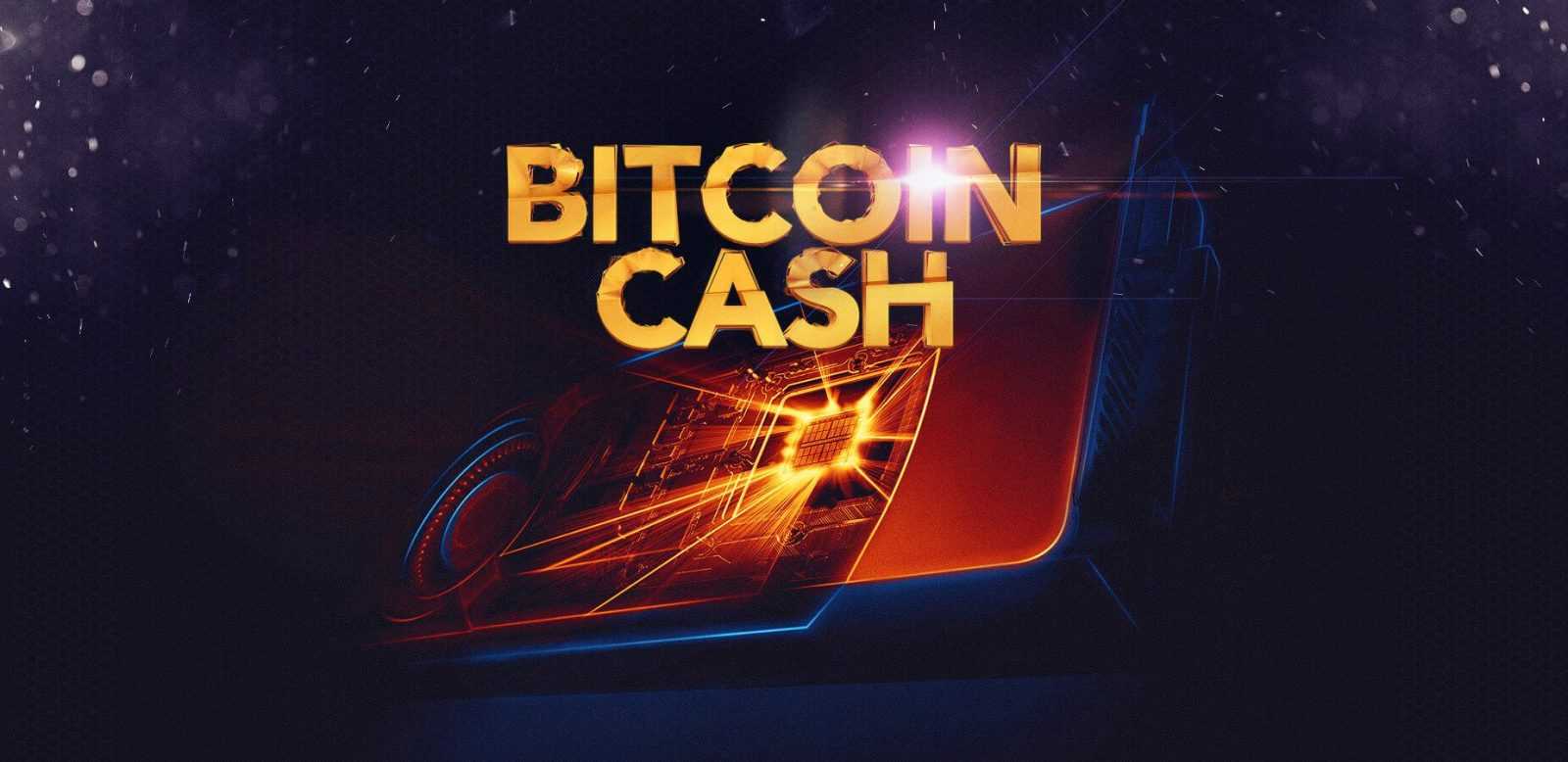 bitcoin cash 8mb