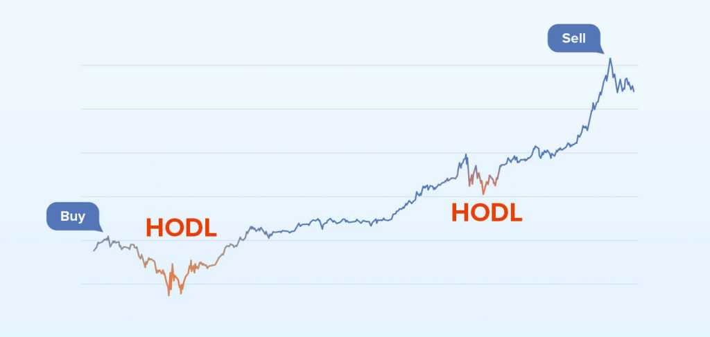 HODL cryptocurrency