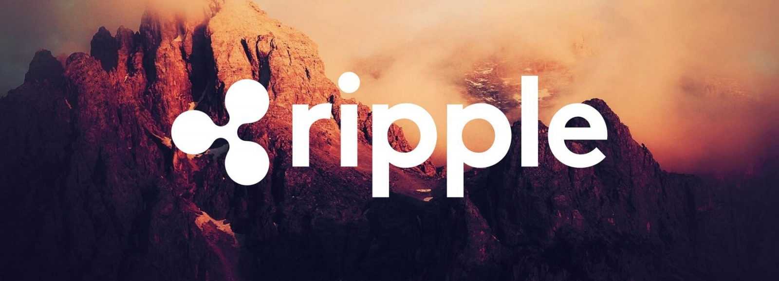 Ripple Named the Most Popular Crypto Investment