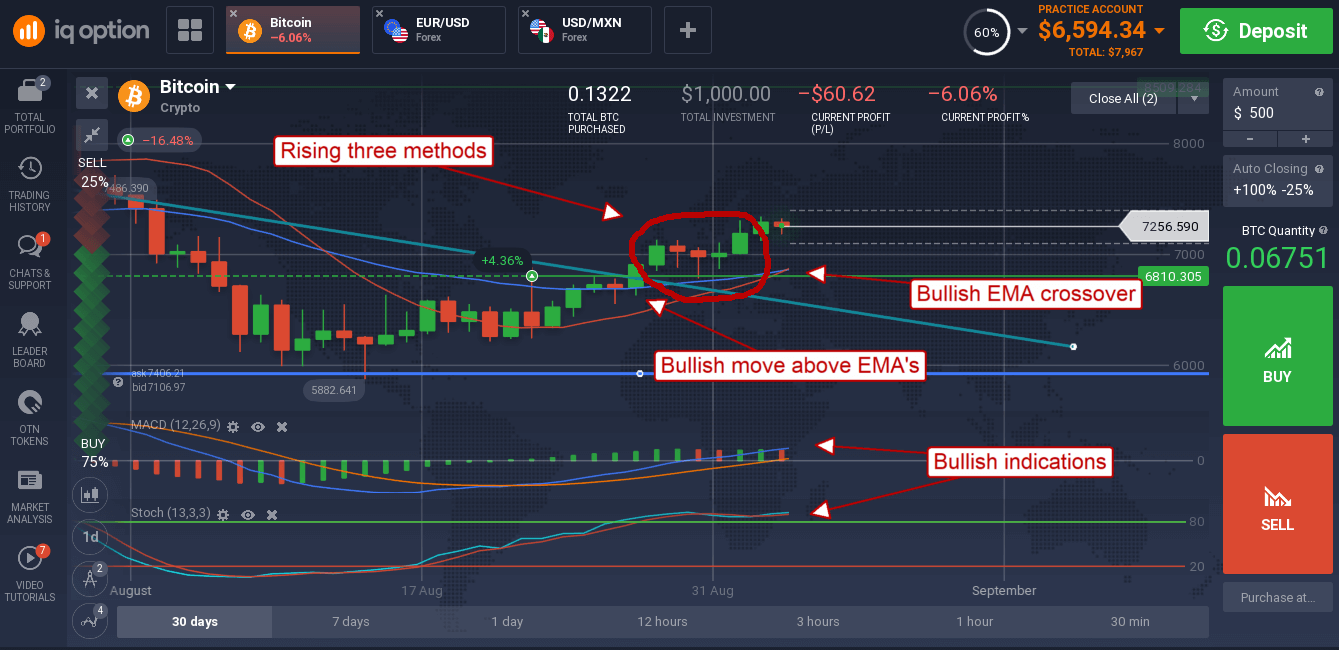 Learn How to Read Bitcoin Price Charts