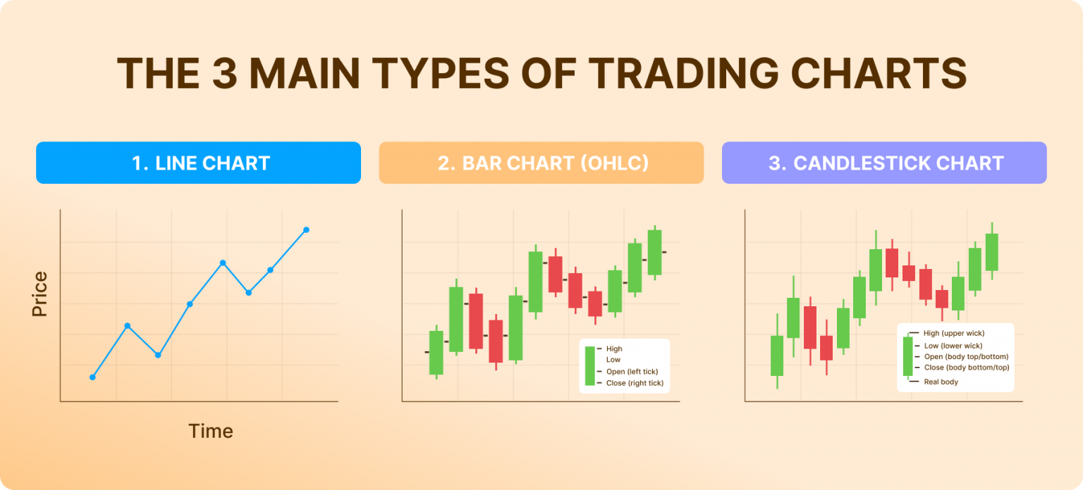 How to Read Trading Charts: Beginner Guide to Price Action